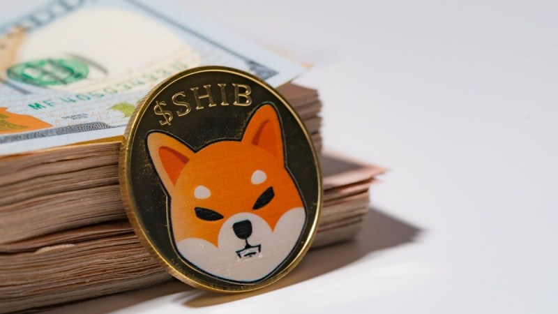 За сутки на криптобиржи поступили Shiba Inu (SHIB) на сумму  млрд
